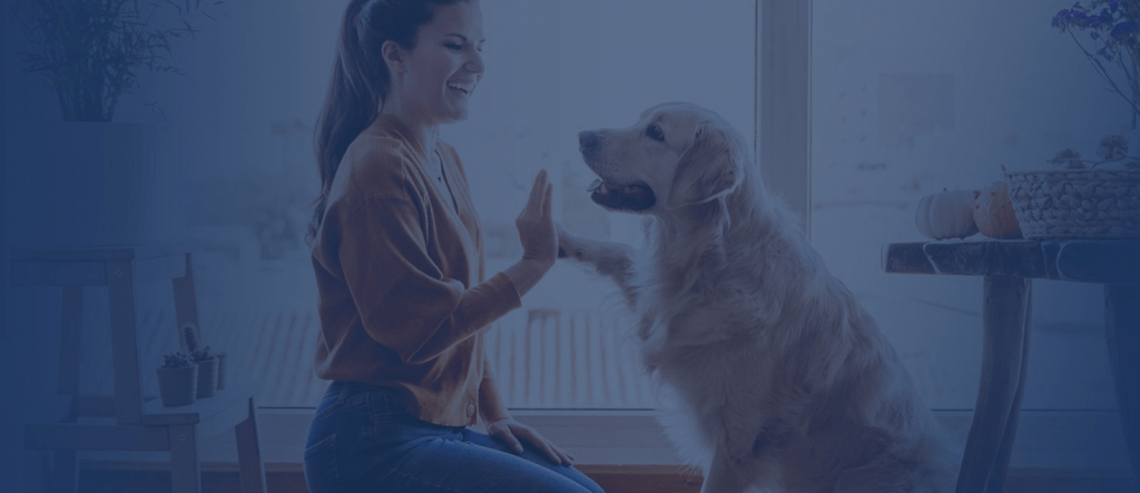 Tangentia | pet foods case study